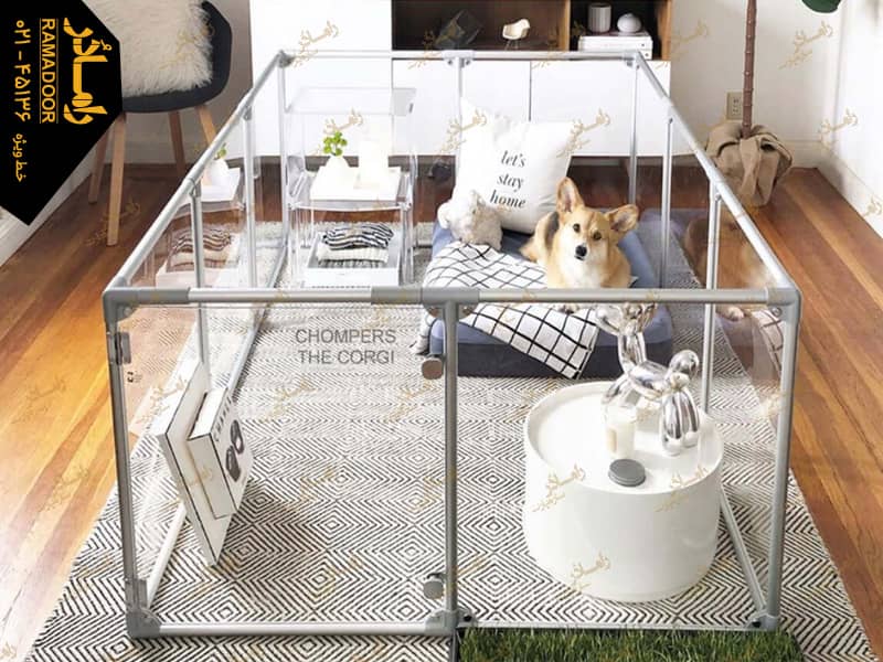 پارک سگ شیشه ای