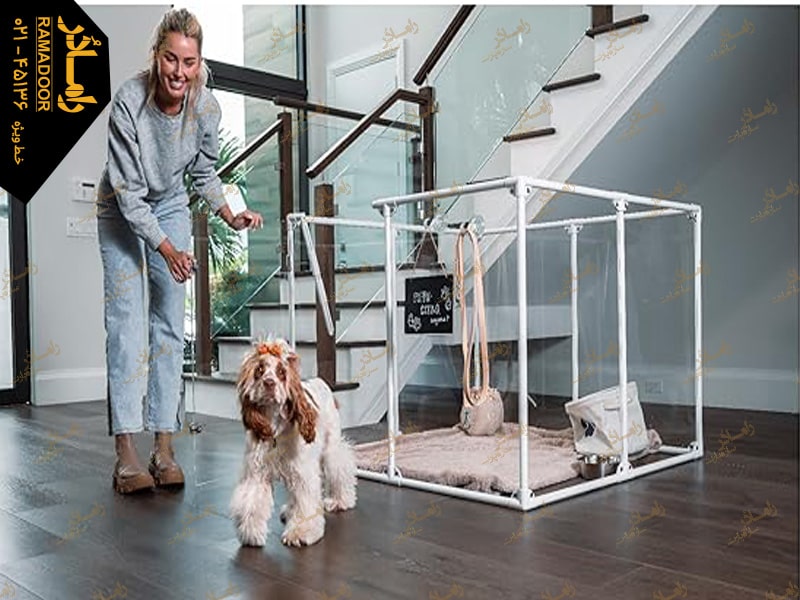 پارک سگ شیشه ای